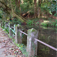 kikuchi10